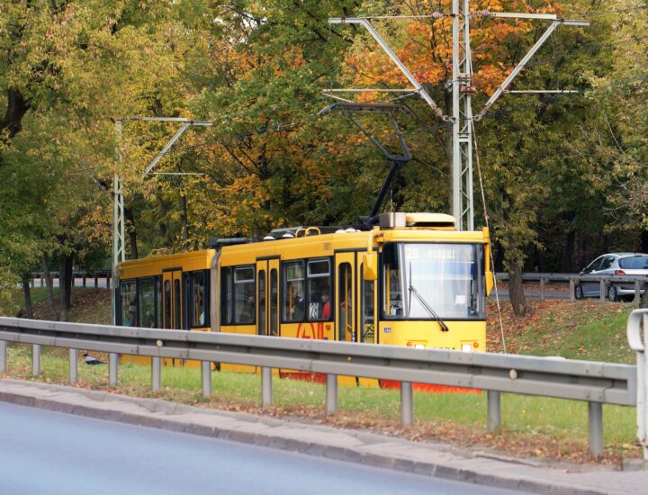 tram running through green tracks
